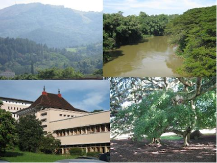 Clockwise from top left: Hantana mountains, Mahaweli river, tree and University building